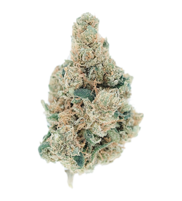 Casino Cookies THCa Flower - Image 2