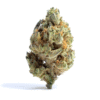 Blueberry Punch THCa Flower